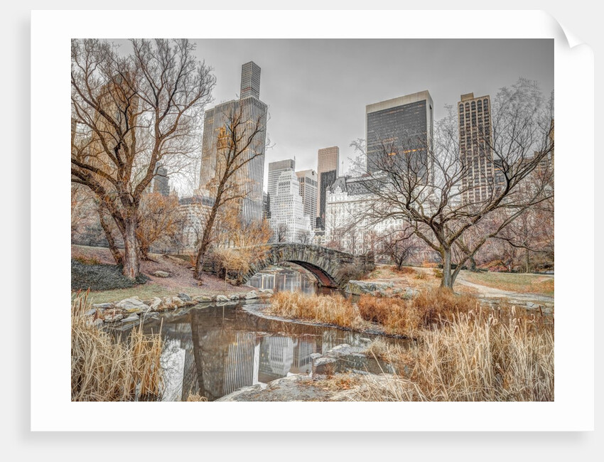 Central park, New York by Assaf Frank